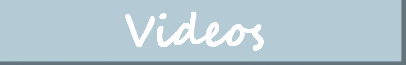 videos - wedding by the sea